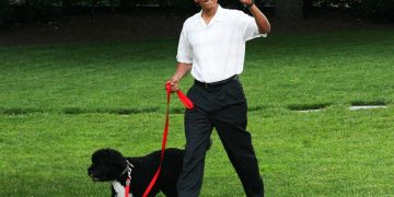Barack Obama with his Dog Bo